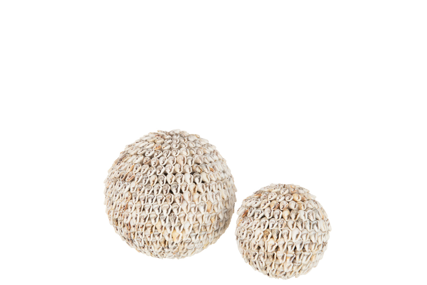Bol Schelpen Noa Naturel Large Naturel