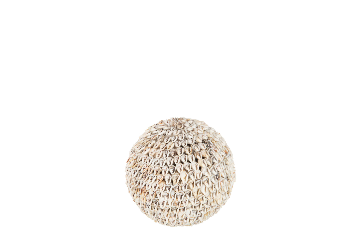 Bol Schelpen Noa Naturel Large Naturel