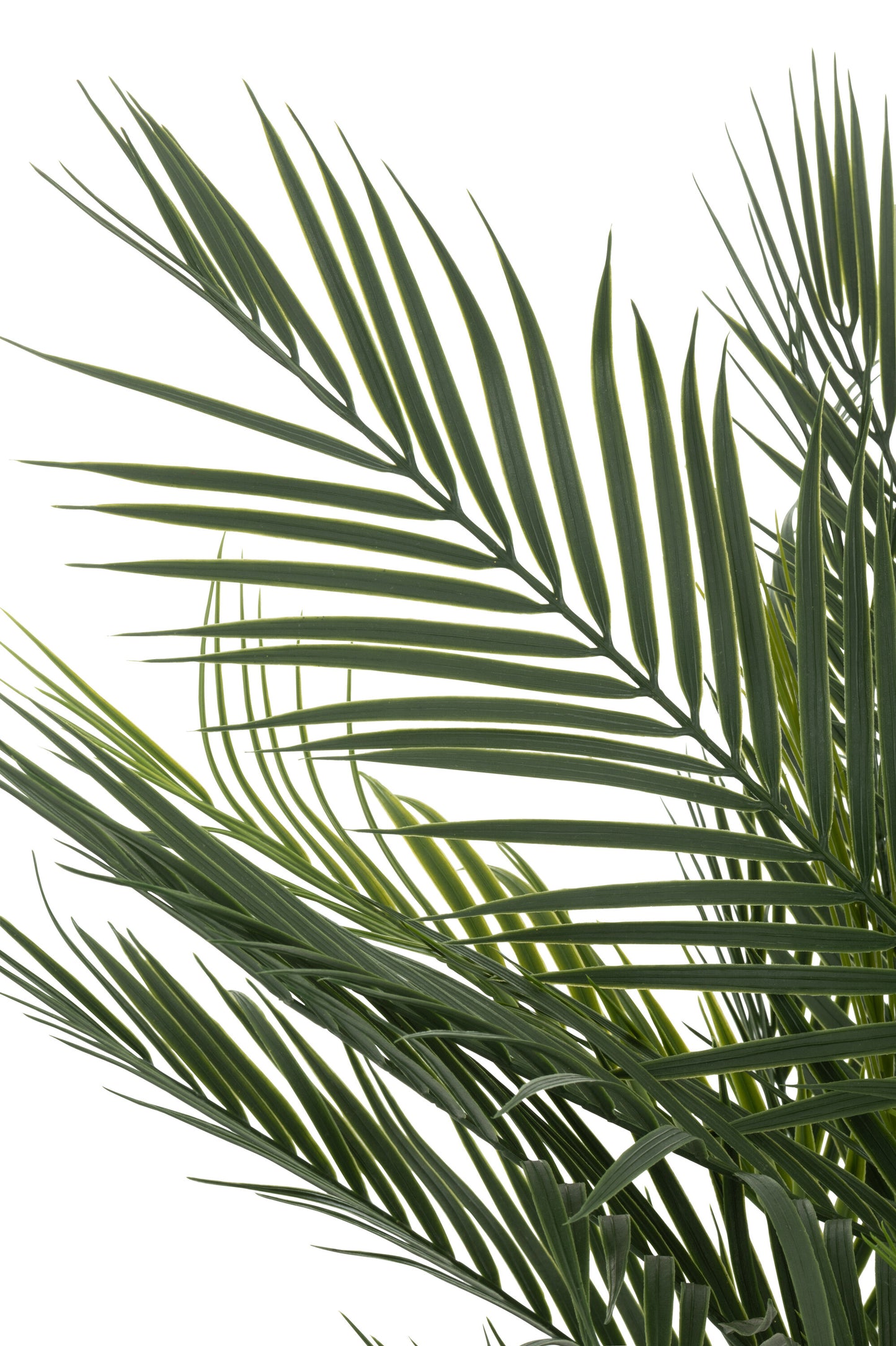 Palmboom In Pot Kunstmatig Groen
