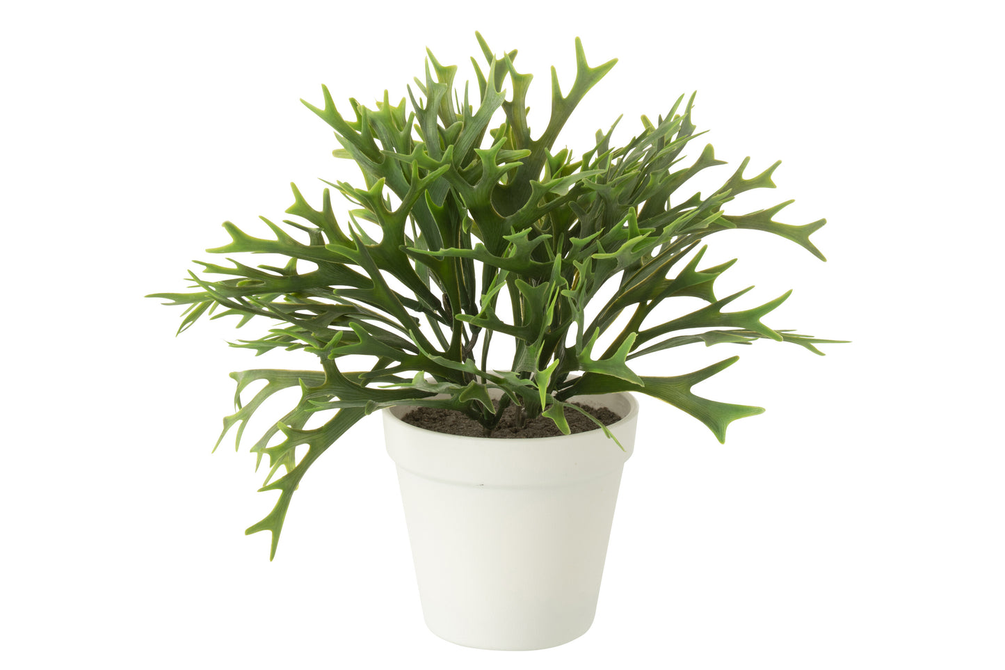 Platycerium Bifurcatum In Pot Kunstmatig Groen